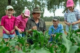 Jarrod Amery e os filhos na plantação de canola, na fazenda da família. (Foto: Arquivo pessoal).