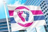 Bandeira usada como símbolo internacional do movimento pró-vida. (Foto: Pro-Life Flag Project)