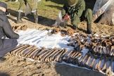 Ossos de vítimas encontrados em vala comum, em Luninets, Bielo-Rússia. (Foto: Bielorrússia 1/Ynet News)