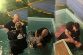 A igreja passou a ver dezenas de pessoas sendo batizadas. (Foto: Beulah Baptist Church)