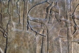 Relevo do palácio de Tiglath Pileser III em Nimrud, retratando uma cena de cerco com dois escudos maciços em forma de L protegendo os soldados assírios. (Foto cortesia: Museu Britânico)