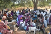 Centenas de sul-sudaneses são libertos da escravidão por organização cristã. (Foto: Reprodução / CSI)