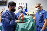 Momento da cirurgia para o transplante de coração de porco. (Foto: Divulgação/University of Maryland)