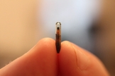 Microchip. (Foto: Dan Lane/Flickr)