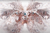 Representação de um “Serafim” conforme o artista digital Jonas Pfeiffer. (Foto: Captura de tela/YouTube Spectrum Cinema)