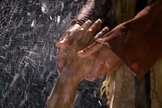 (Foto: FreeBible)