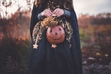 Halloween. (Foto: Unsplash/Paige Cody)