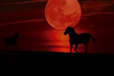 Representação da Lua de Sangue. (Foto: neelam279/Pixabay)