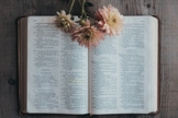 (Foto: Sixteen Miles Out/Unsplash)
