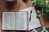 (Foto: Unsplash/Rachel Strong)