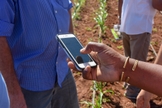 A África é um dos locais onde o acesso à internet é mais restrito. (Foto: Reprodução/Flickr/CIMMYT)