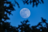 Lua no céu. (Foto representativa: Unsplash/Kym Mackinnon)
