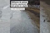 Imagem dos peixes mortos chegando à beira de uma praia no Japão. (Captura de tela: YouTube CNN Brasil)