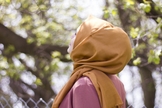 Imagem ilustrativa. (Foto: Unsplash/Ifrah Akhter).