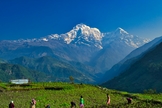 Cordilheira do Himalaia no Nepal. (Foto: Imagem ilustrativa/Unsplash/Giacomo Berardi).