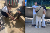 Nas imagens é possível ver pessoas sendo evangelizadas e recebendo oração. (Captura de tela/Instagram/Awakening Europe)