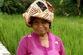 Idosa sundanesa perto de um arrozal, em Garut, Java Ocidental. (Foto ilustrativa: Wikipedia)