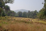Um campo saqueado na aldeia de Michwar. (Foto: CSW)
