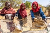As mulheres ajudam a separar e distribuir os alimentos. (Foto: Reprodução/Samaritan's Purse)