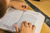 Segundo a Sociedade Bíblica Americana, os novos capítulos do estudo serão divulgados mensalmente até dezembro de 2025. (Foto: Pexels/Tima Miroshnichenko)