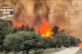 Incêndios suspeitos se espalham perto de Jerusalém. (Captura de tela/Instagram/jewishbreakingnews)