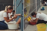 O evangelismo no presídio. (Foto: Reprodução/Instagram/Shaila Manzoni)