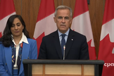 O primeiro-ministro Mark Carney anuncia a intenção do Canadá de reconhecer a condição de Estado palestino. (Captura de tela/YouTube/Cpac) 