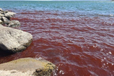 O Mar da Galileia, em Israel, ficou misteriosamente vermelho, gerando temores de presságios bíblicos. (Foto: Shiran Unger/Israel Nature and Parks Autorithy)