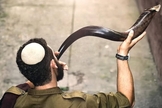 (Foto: IDF)