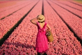 (Foto: Unsplash/The Now Time)