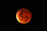 Primeira ‘lua de sangue’ de 2026 acontece em meio à guerra de Israel contra o regime islâmico do Irã. (Foto: Steve Busch / Unsplash)