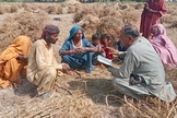 Cristãos estudando a Bíblia escondido em um campo. (Foto: Instagram/One Passion Mission).