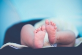 A divulgação da pesquisa provocou reações divididas na comunidade científica. (Foto: Janko Ferlič / Unsplash)