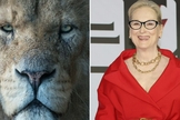 Meryl Streep dará voz a Aslan no novo filme de “Nárnia”. (Foto: Reprodução/MovieGuide/Wikimedia Commons)