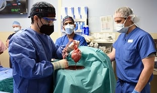 Momento da cirurgia para o transplante de coração de porco. (Foto: Divulgação/University of Maryland)