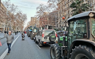 Crise agrícola se espalha pela Europa. (Foto: Cataleirxs/Wikimedia Commons)