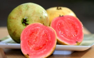 frutas de outono