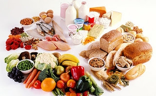 alimentos alternativos