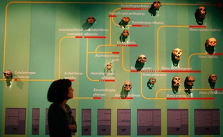 Pesquisa: Aproximadamente 50% dos norte-americanos apoiam o Criacionismo