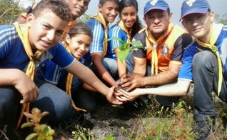 Desbravadores _ reflorestamento