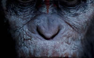 Planeta dos Macacos