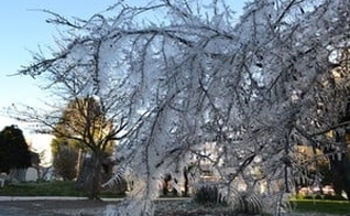 São Joaquim marcou -5,8ºC 