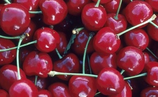 alimentos do sono