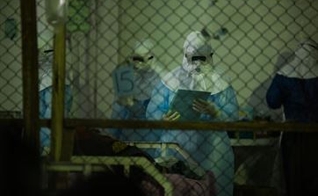 Segundo a Cruz Vermelha, Ebola poderá ser controlado em quatro ou seis meses