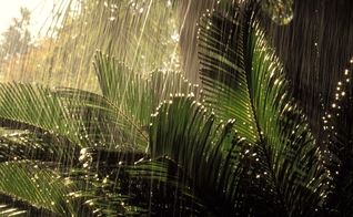 chuva_