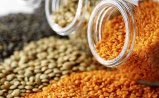 20 alimentos que inibem a fome