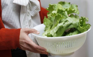 alimentos