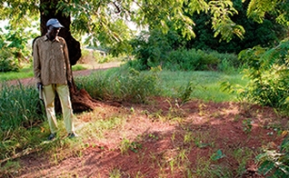 Imagem da República Centro-Africana