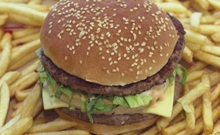 Comida fast food
