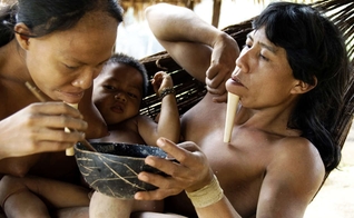 Índios da etnia Zo'é